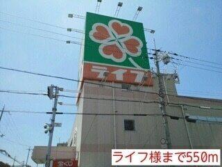 ライフ様：550m
