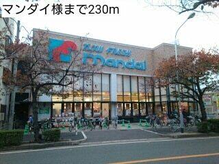 マンダイ様：230m