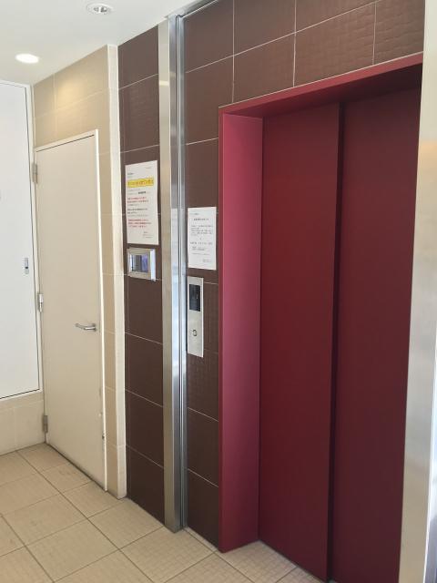 mosaique その他