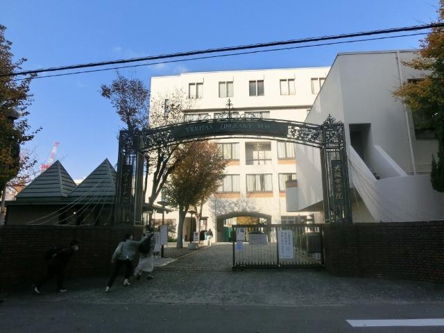大学