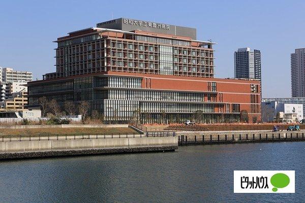 昭和大学江東豊洲病院：1379m