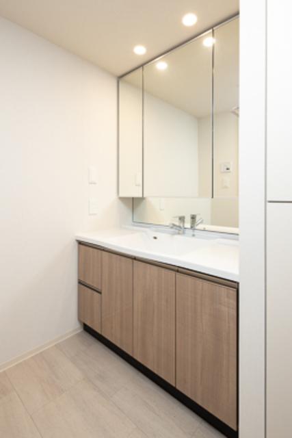 アビティグランデ砧　（Ｃ棟）（214） 部屋画像