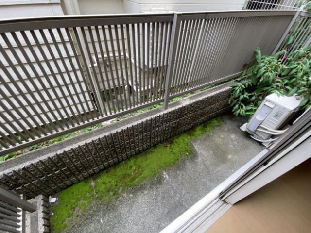 レアール等々力（103） 部屋画像