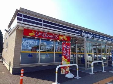 ミニストップ那須唐杉店：850m