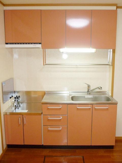 ブリッサ桜岡Ｄ（101） キッチン
