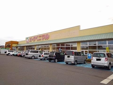 ヨークベニマル矢板店：800m