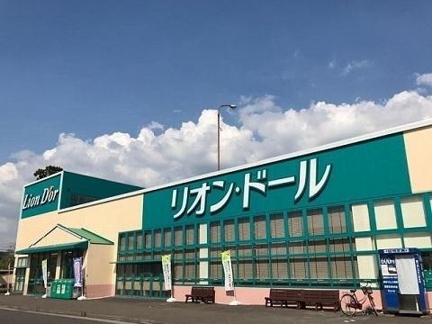 リオン･ドール 結城店：750m