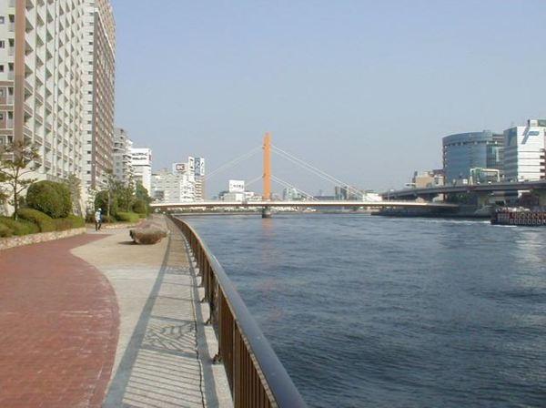 アクシルコート新大橋（714） その他