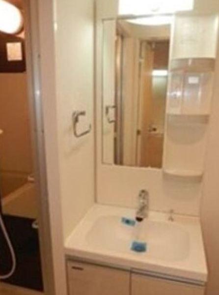 ライジングプレイス錦糸町（101） 部屋画像