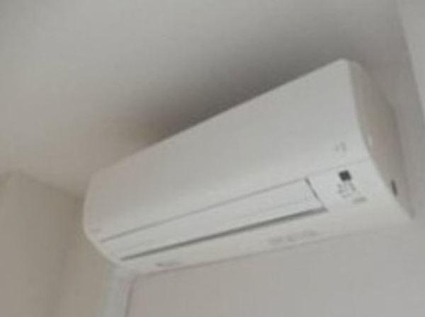 ライジングプレイス錦糸町（101） 部屋画像