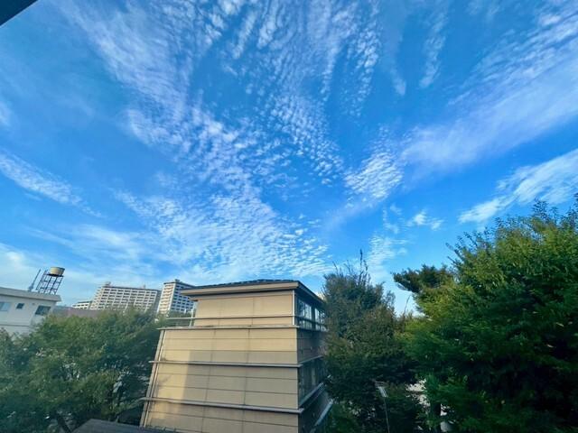 TRESビル（C） 眺望