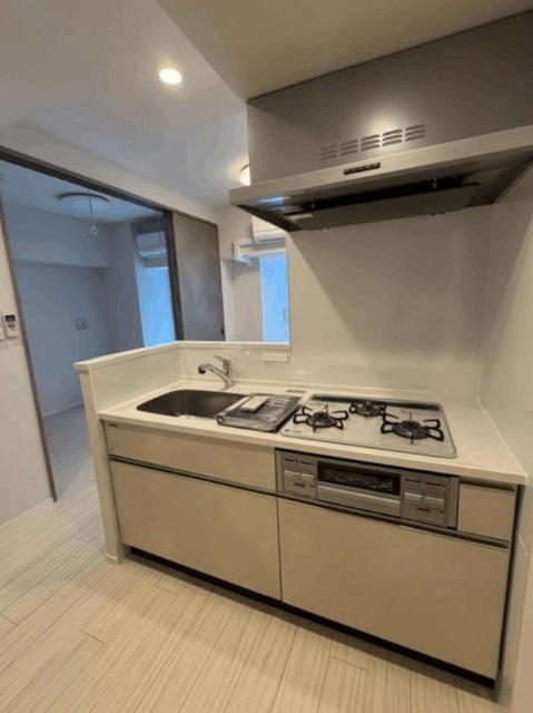 S-RESIDENCE住吉aquacht（101） キッチン