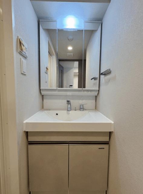 S-RESIDENCE住吉aquacht（101） 洗面