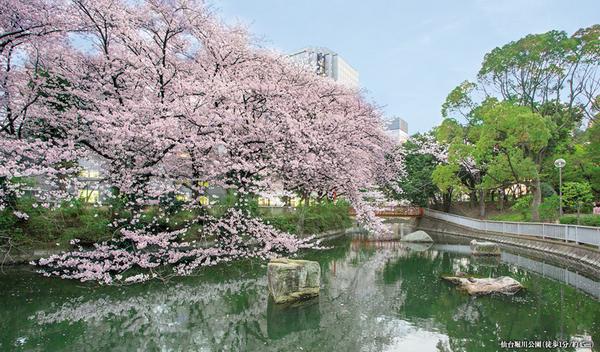 公園