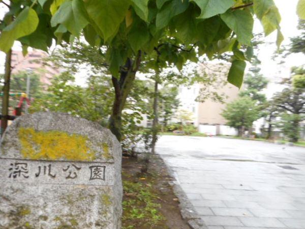 公園