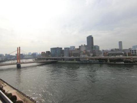 東京アインスリバーサイドタワー 眺望