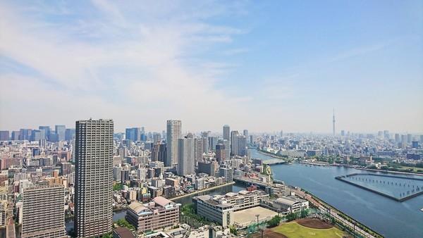 ザ・パークハウス晴海タワーズティアロレジデンス 眺望