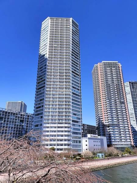 アップルタワー東京キャナルコート 物件画像