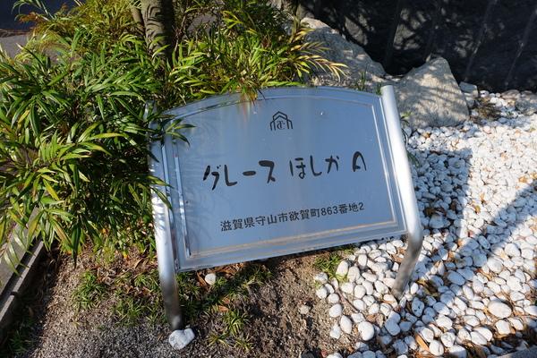 グレースほしか その他