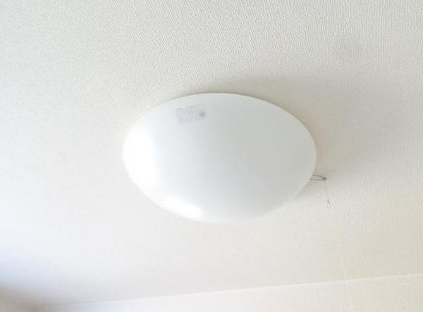 グレースほしか その他