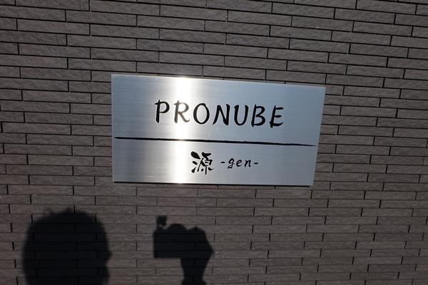 PRONUBE 源gen その他