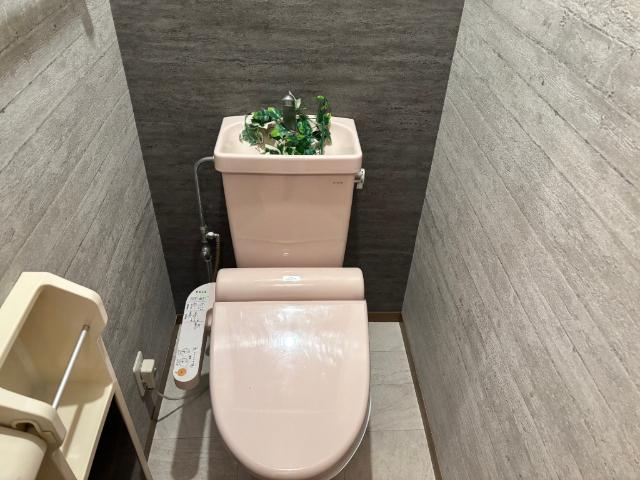 ヴェーデルⅡ トイレ