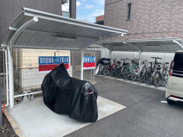 オリーブ その他