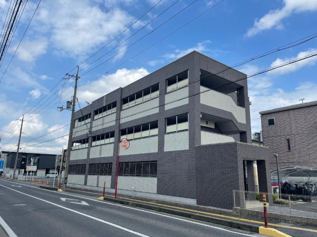 オリーブ 外観