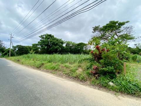 土地