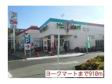 ヨークマート　大宮南中野店：950m