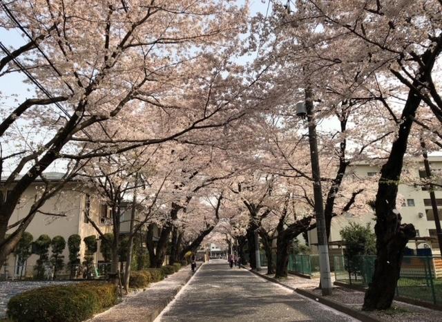 さいたま市北区盆栽町100坪 その他