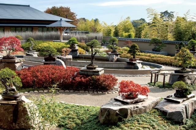 さいたま市北区盆栽町100坪 その他