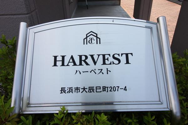 apartment 大辰巳町
