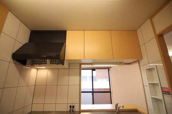 apartment 大辰巳町