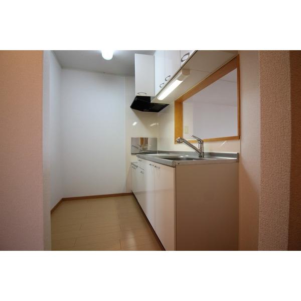 ソレイユ イズミ Ⅰ（205） 部屋画像