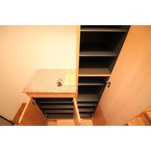 ソレイユ イズミ Ⅰ（205） 部屋画像