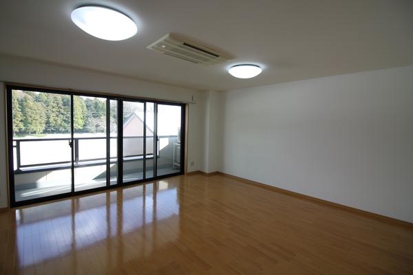 villa Cozy（301） リビング