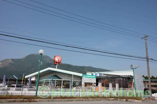 コメリハード＆グリーン山東店：335m