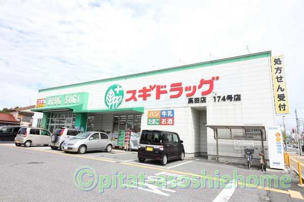 スギ薬局高田店：686m