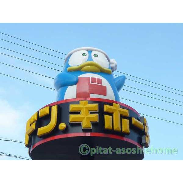 ドン・キホーテ：1562m