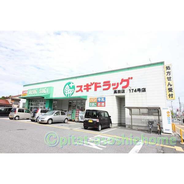 スギ薬局高田店：254m