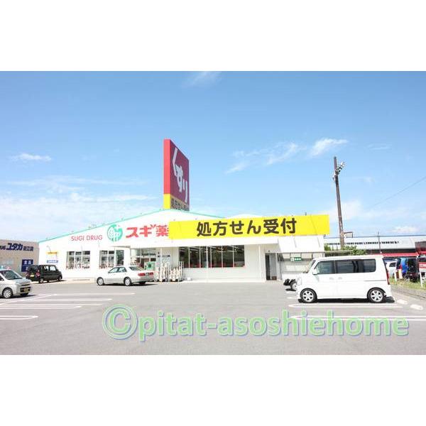 スギ薬局近江店：1343m