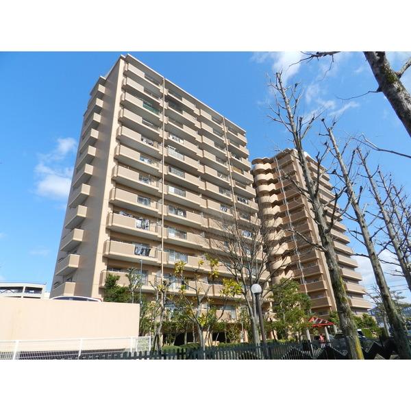 近江八幡市鷹飼町南マンション 駐車場