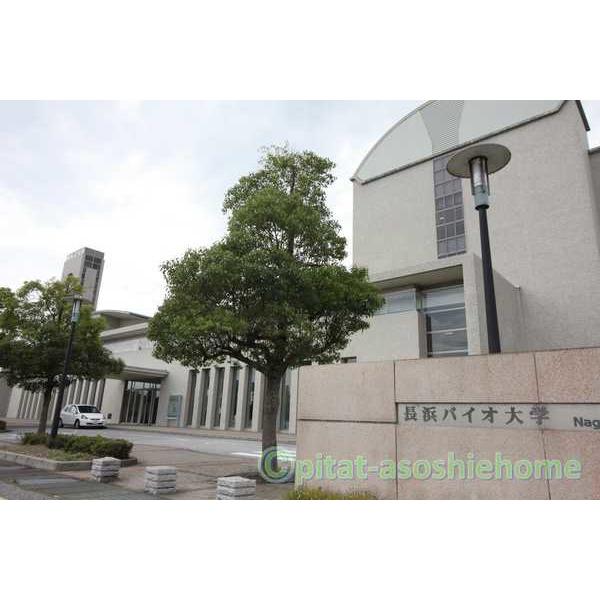 長浜バイオ大学図書情報センター：2543m