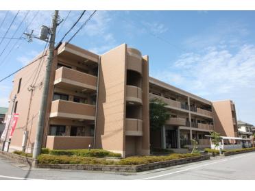 鉄筋コンクリート造