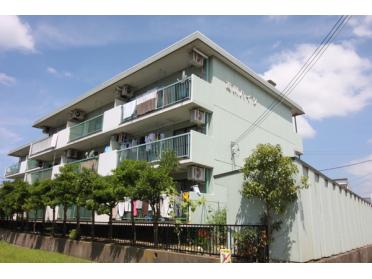 広々間取り