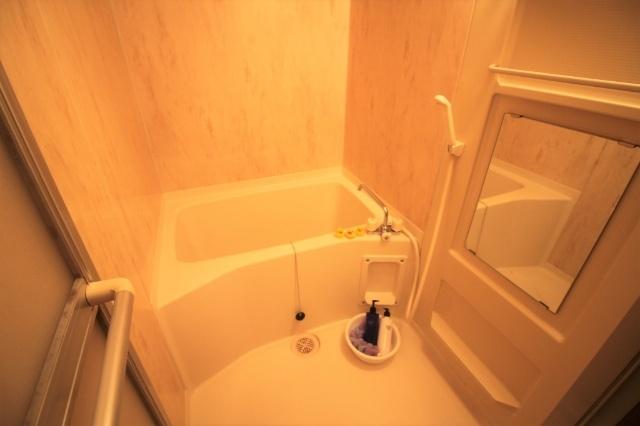 パレスハイジ（102） 部屋画像