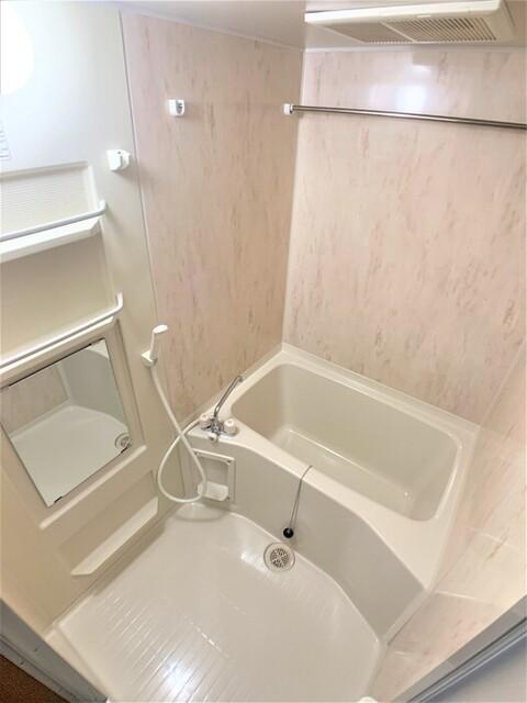 パレスハイジ（101） 部屋画像
