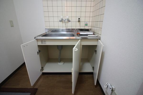 ノースウィング（208） キッチン