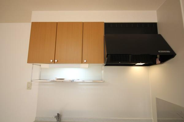 ティアラハイツ常福寺（A-2） 部屋画像